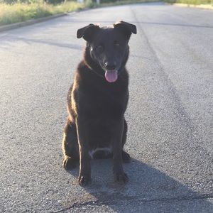 Meet your Posher, Laurie